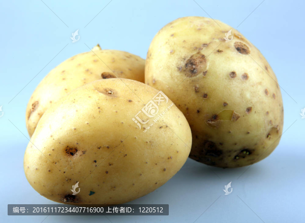 新鮮的土豆