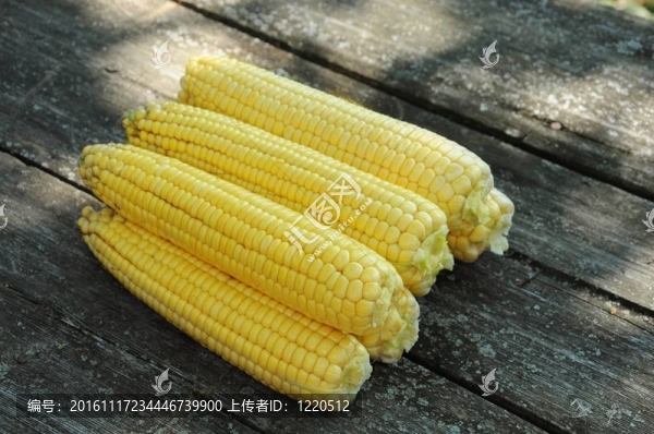桌上的新鮮玉米