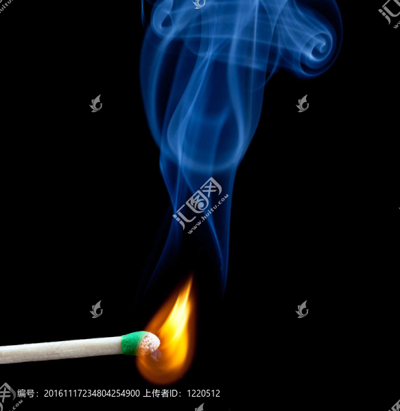 綠頭比賽開始蠢蠢欲動