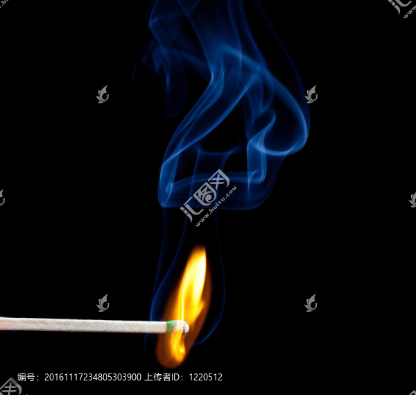 綠頭比賽開始蠢蠢欲動