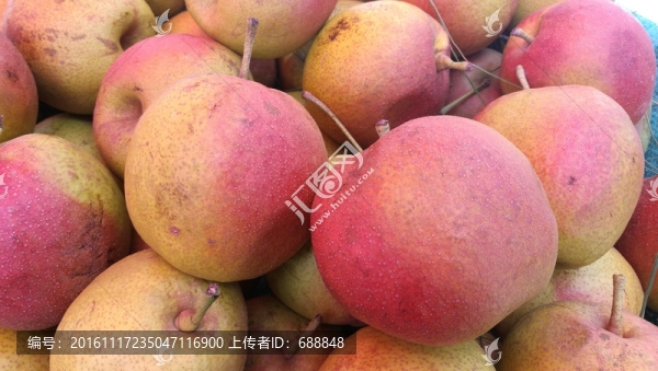 蘋果
