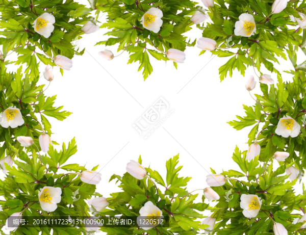 花框