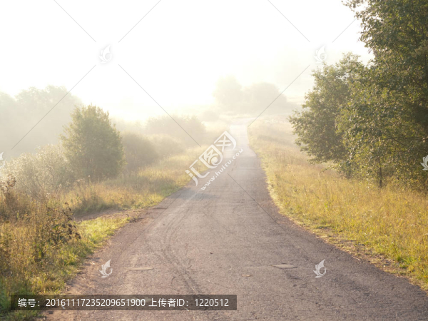 路