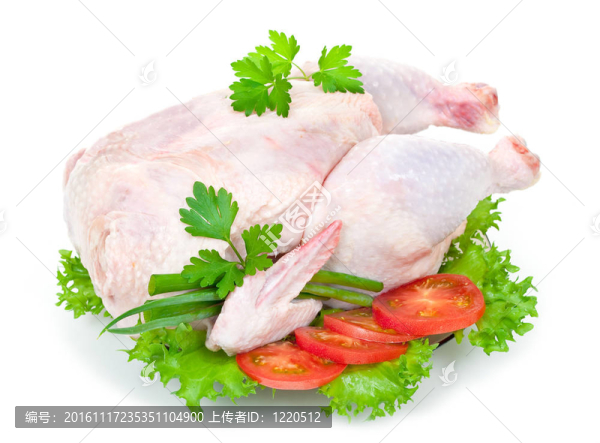 生雞肉