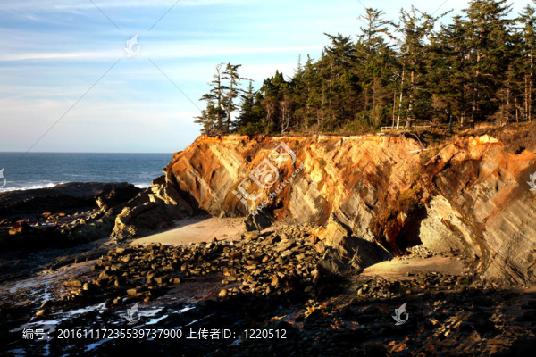 俄勒岡海岸的肖像