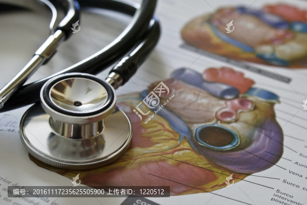 sthetoscope-匯圖網(wǎng) www.fosd68.com sthetoscope