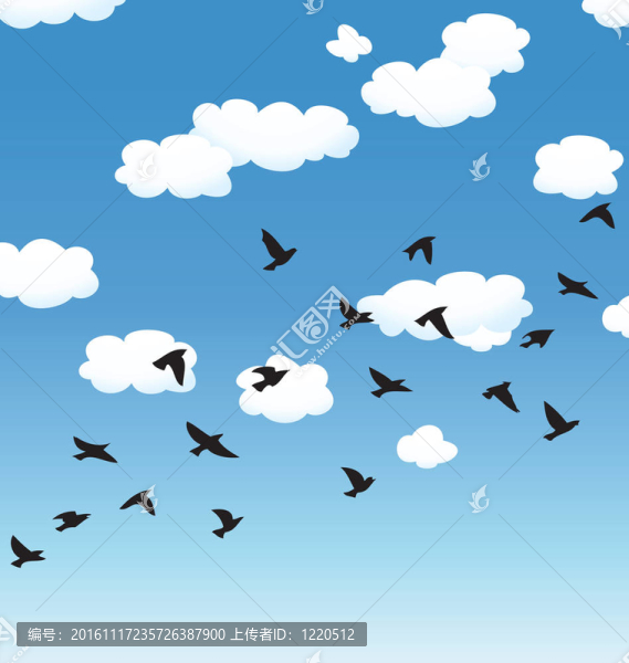 飛行鳥和云在天空
