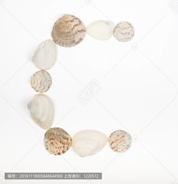由海貝殼制成的字母表