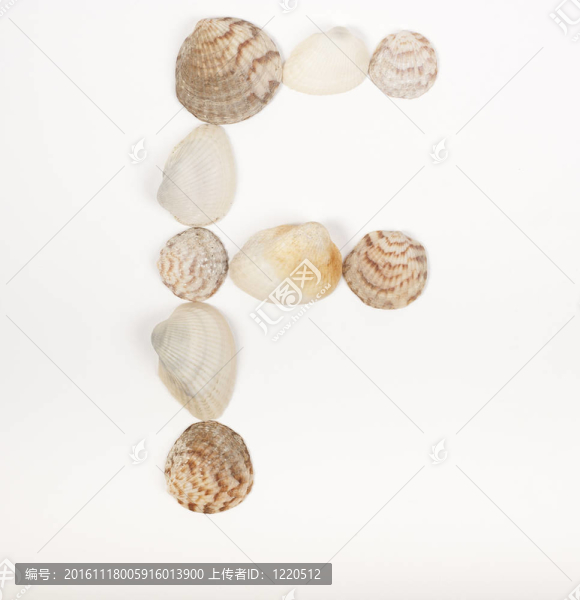 由海貝殼制成的字母表