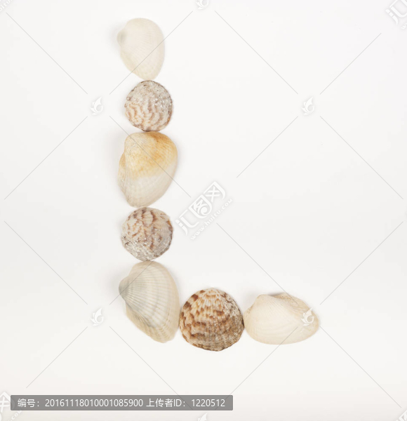 由海貝殼制成的字母表
