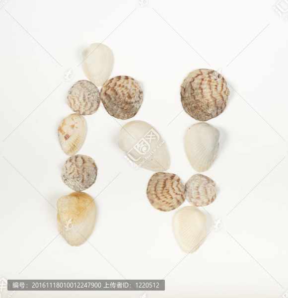 由海貝殼制成的字母表