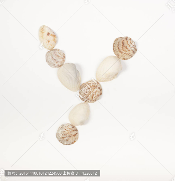 由海貝殼制成的字母表