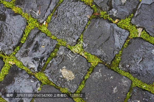 綠草間潮濕的鵝卵石-匯圖網(wǎng) www.fosd68.com 綠草間潮濕的鵝卵石