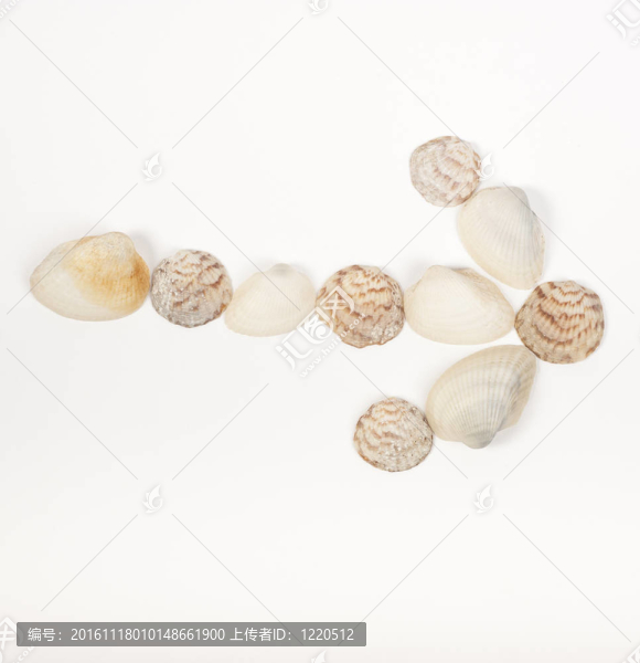 由貝殼制成的箭頭符號