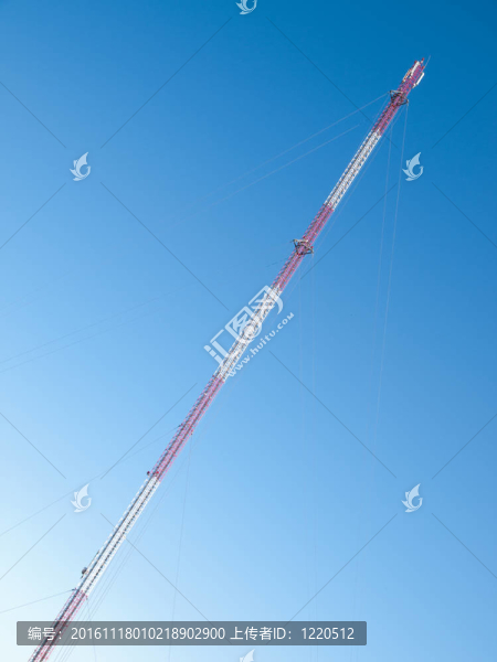 桅桿