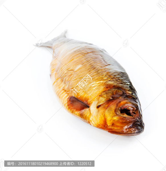 魚