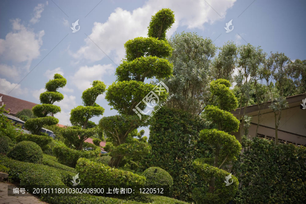 園林景觀