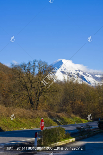 冬季森林山之路