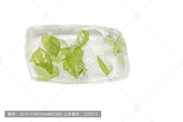 薄荷葉冰凍在白色的冰上