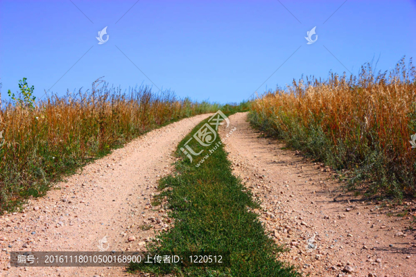 農(nóng)村公路與藍(lán)天