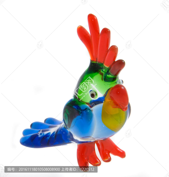 鸚鵡-匯圖網(wǎng) www.fosd68.com 鸚鵡