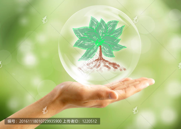 生態(tài)概念：手與樹的泡沫