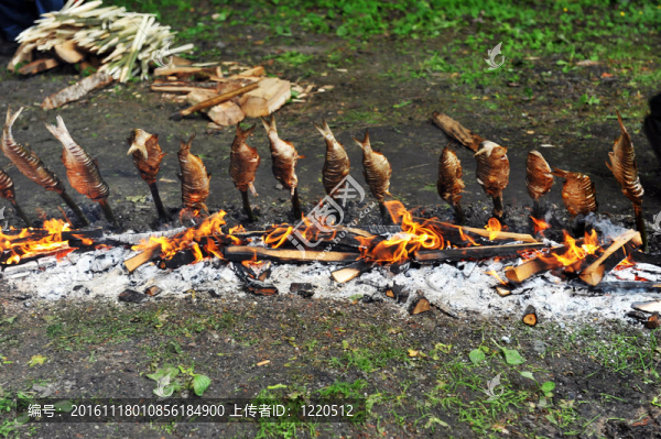 固定在木制筷子上的魚(yú)