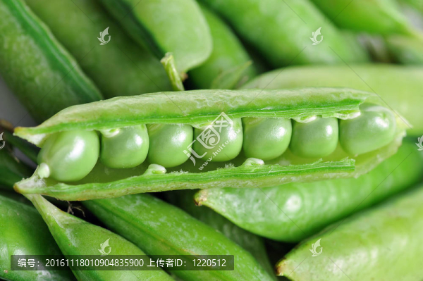 綠色的豌豆