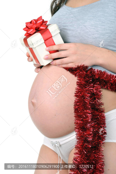 紅腹弓