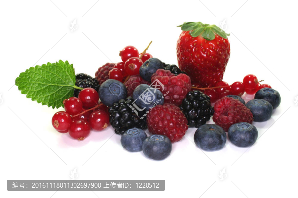 漿果