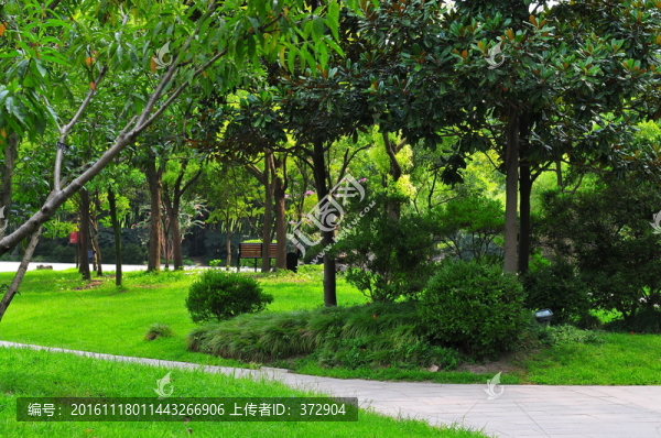 園林景觀