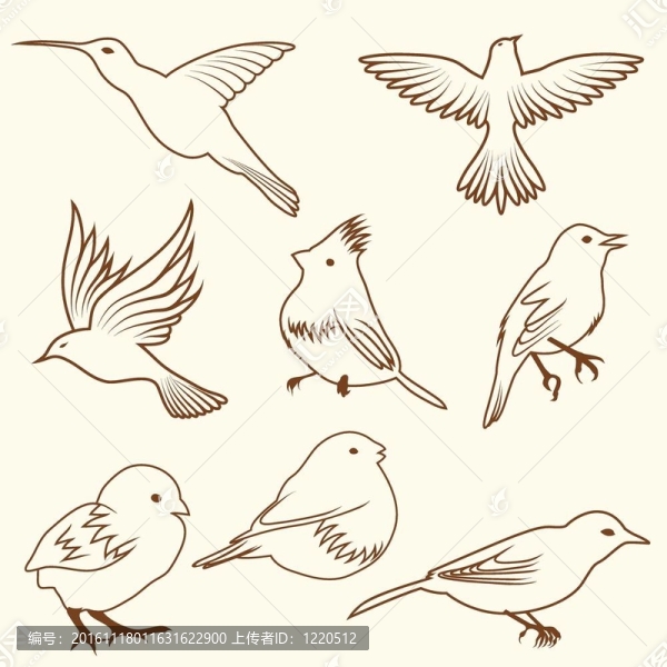 設(shè)置不同的草圖的鳥