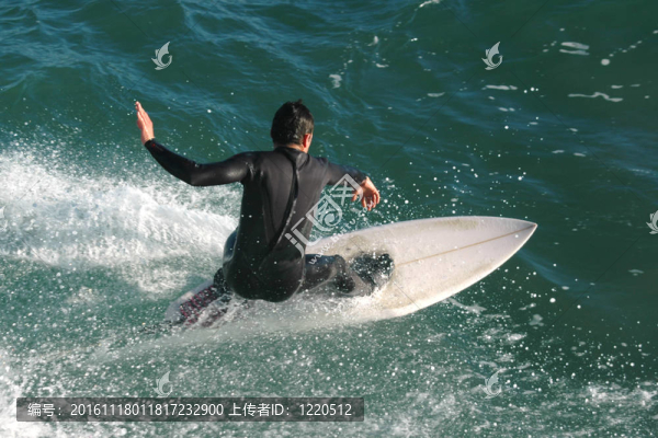 沖浪者