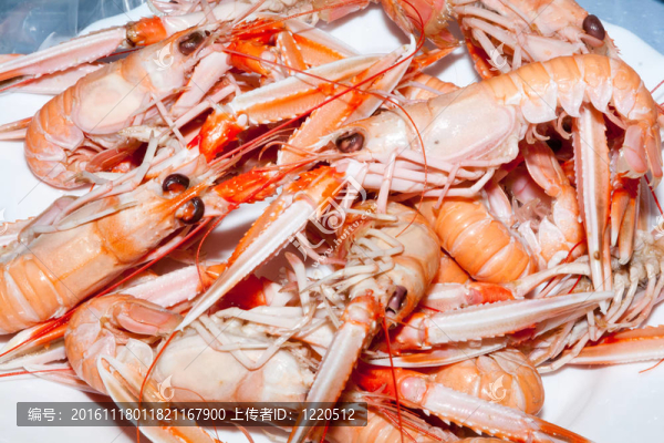 gambonas準(zhǔn)備。蝦