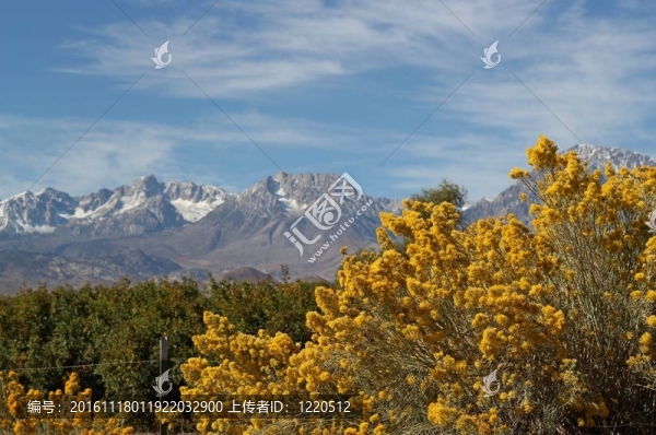 銀鮫與Sierra山脈