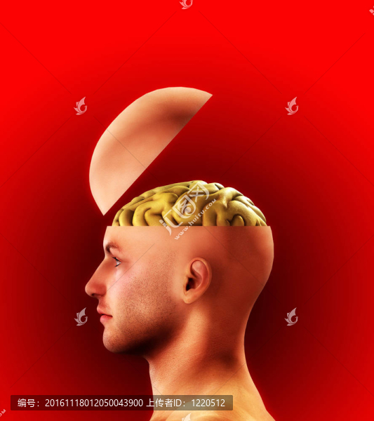簡(jiǎn)介Open,Minded,Head