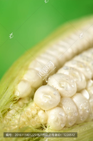 白甜玉米芯