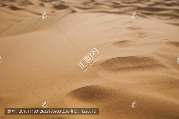 沙漠中的Sandscapes