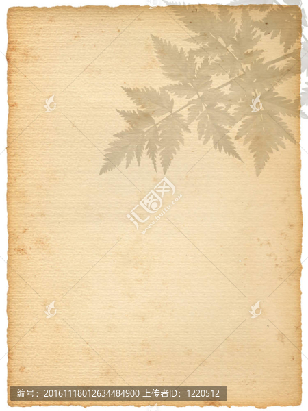 質(zhì)感的老紙背景與五顏六色的秋葉
