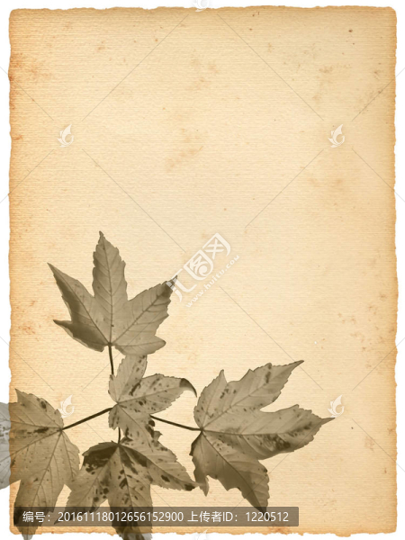 質(zhì)感的老紙背景與五顏六色的秋葉