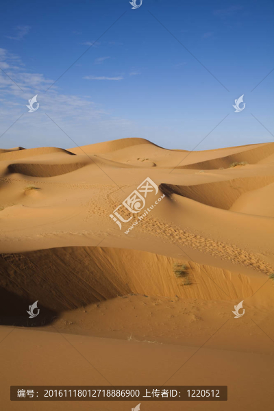 沙漠中的Sandscapes