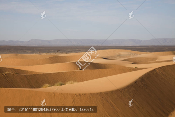沙漠中的Sandscapes