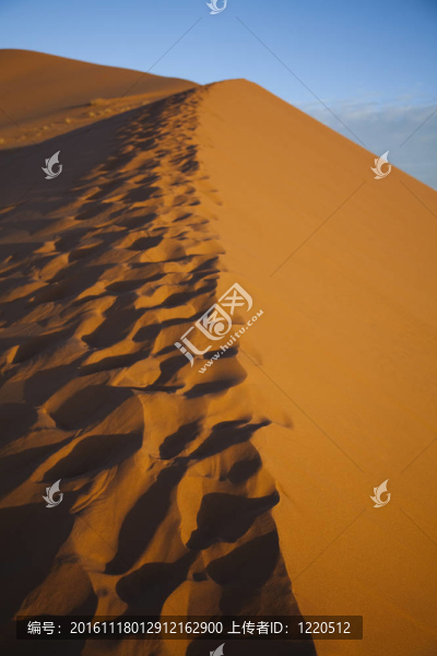 沙漠里的沙子-匯圖網(wǎng) www.fosd68.com 沙漠里的沙子