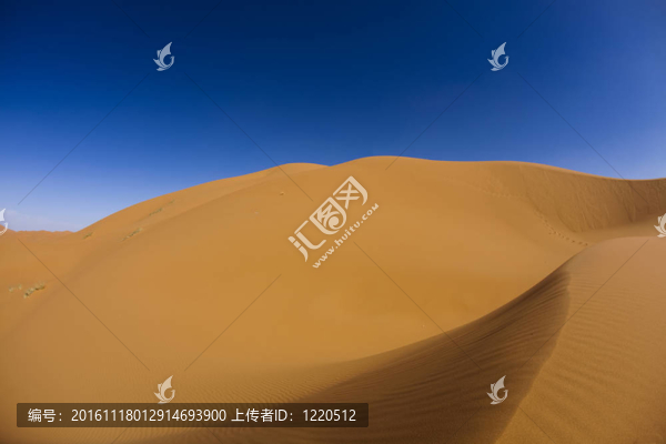 景觀的沙漠