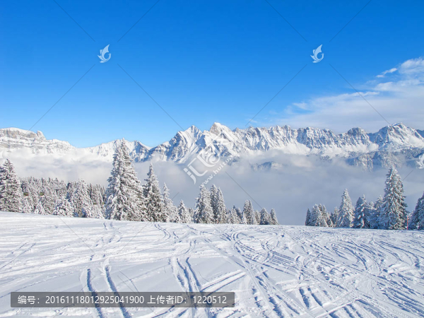 滑雪坡