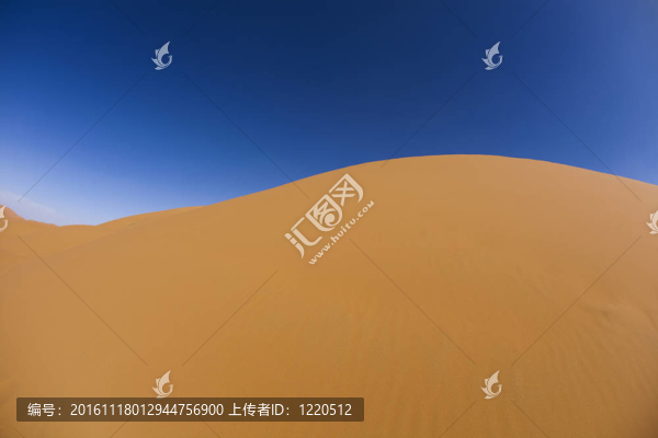 景觀的沙漠