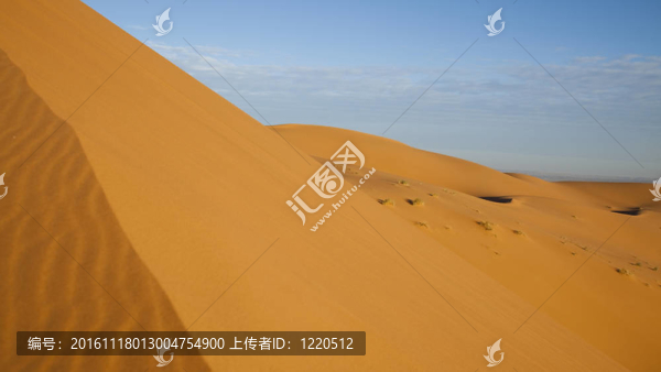 沙漠里的沙子