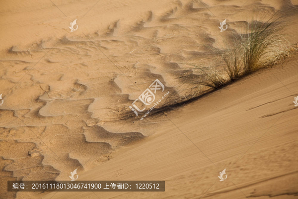 沙漠景觀；梅爾祖卡；摩洛哥