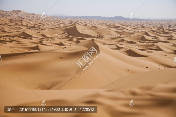 沙漠中的Sandscapes