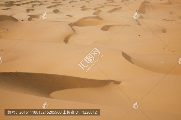撒哈拉沙漠；梅爾祖卡